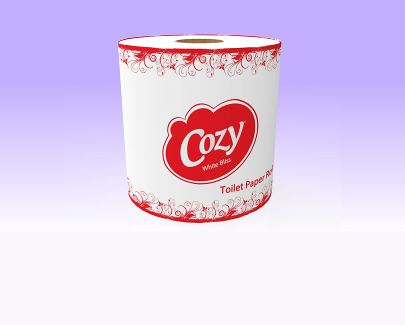Cozy Toilet Paper, Tissue Paper 1 PC 250 Sheet/ 100 ROLLS (1 x 100) /BAIL