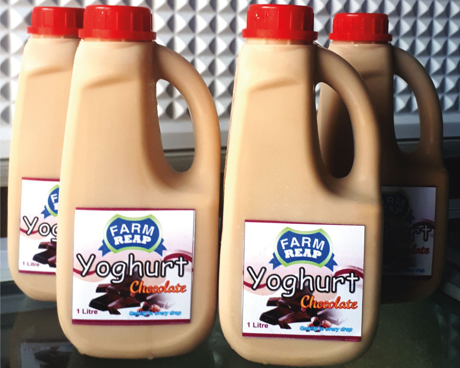 FARM REAP Chocolate yoghurt