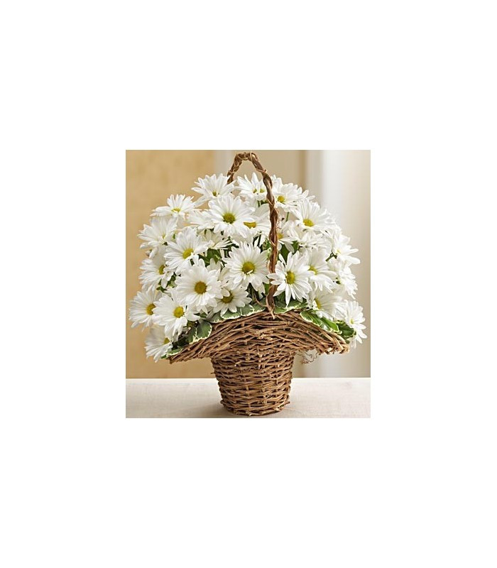 Basket Full of Daisies